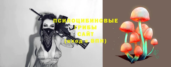 спиды Алзамай