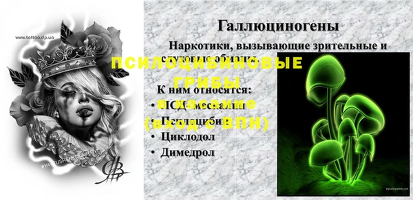 спиды Алзамай
